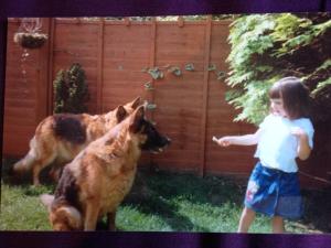 Tegan training german shepherd dogs