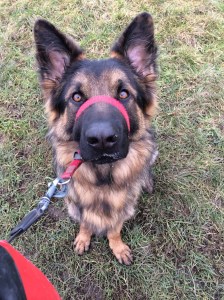 Strike a pose Ziggy! 